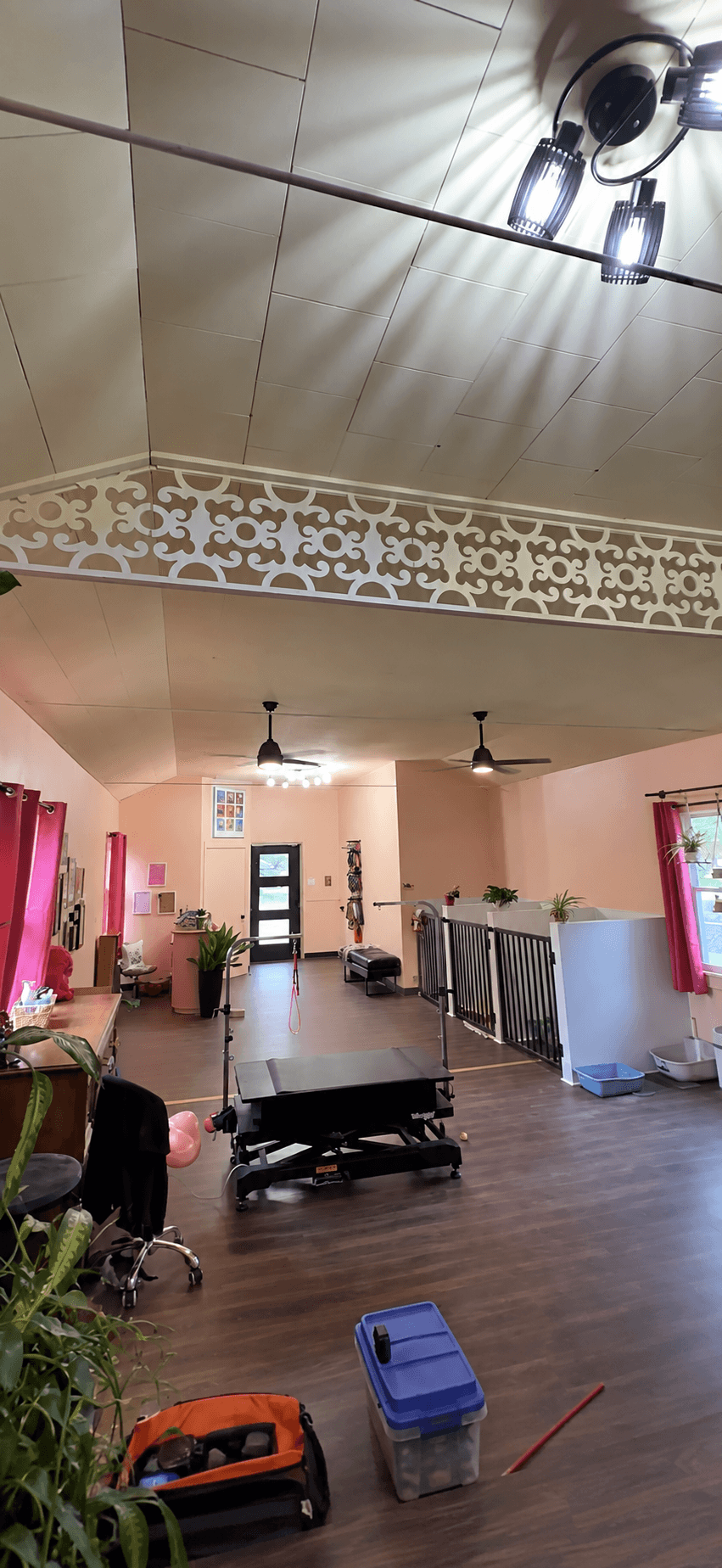 Inside GG's Groomaroo's bright, private grooming suite